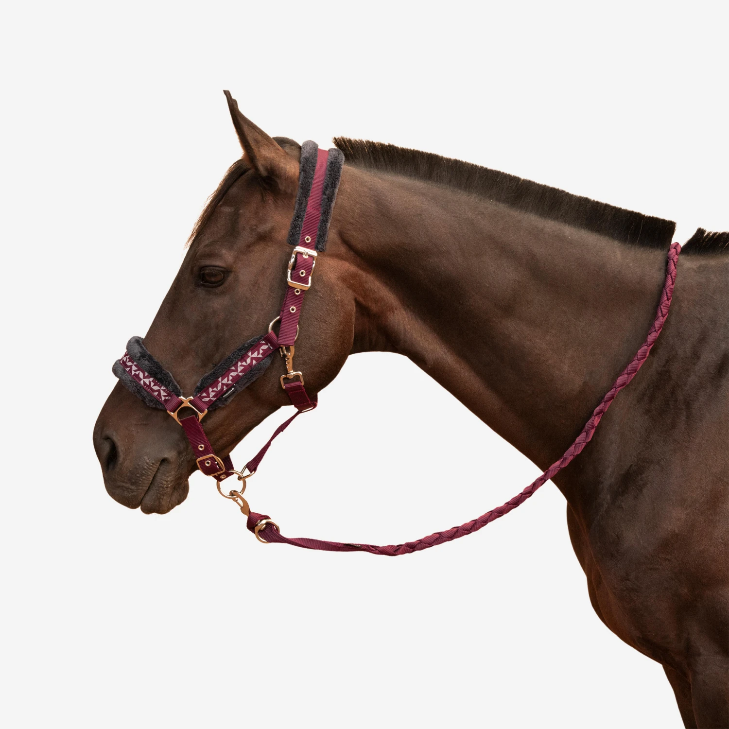 Horse Riding Halter + Leadrope Kit For Horse & Pony Comfort - Image 8
