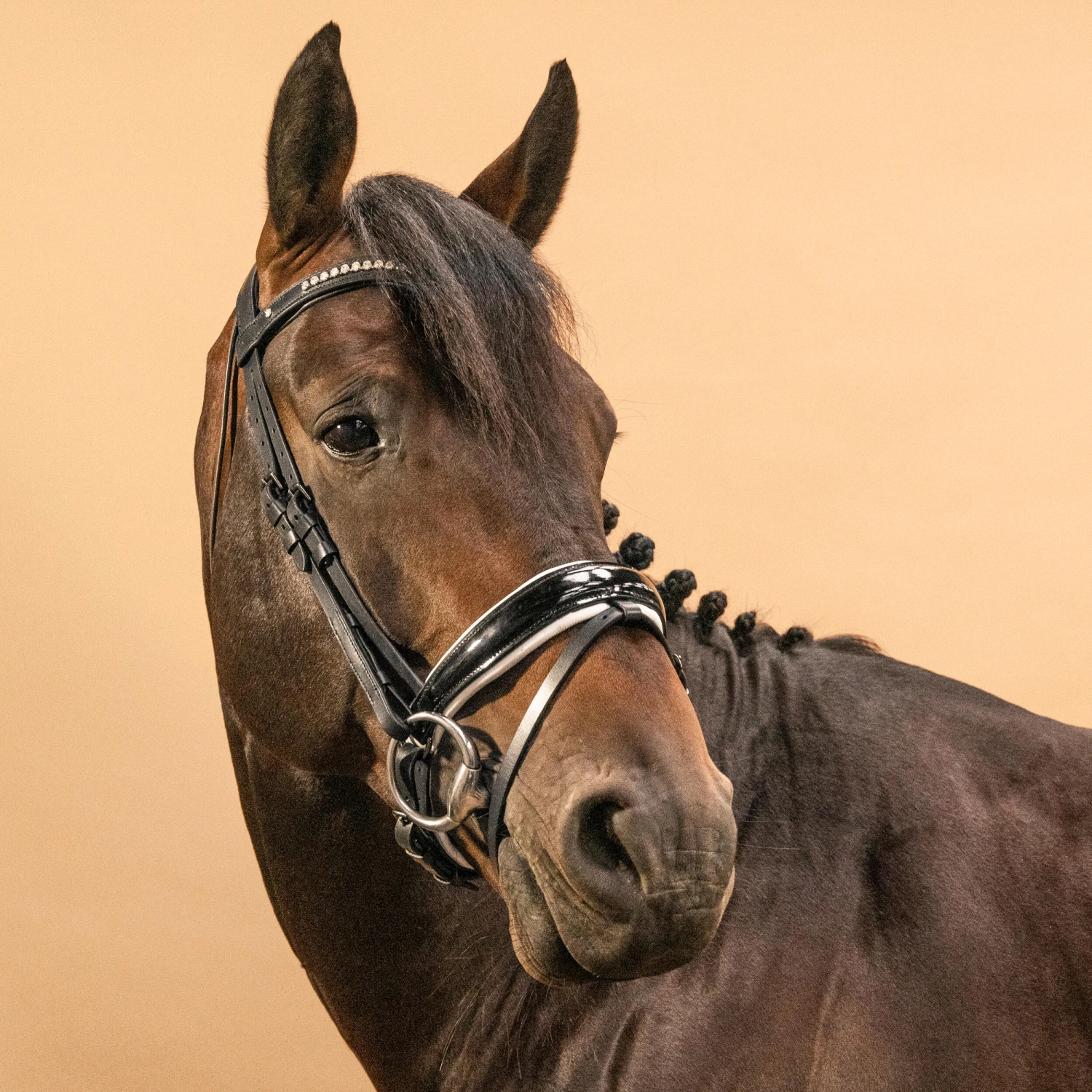 Horse & Pony Dressage Bridle 900 - Image 5