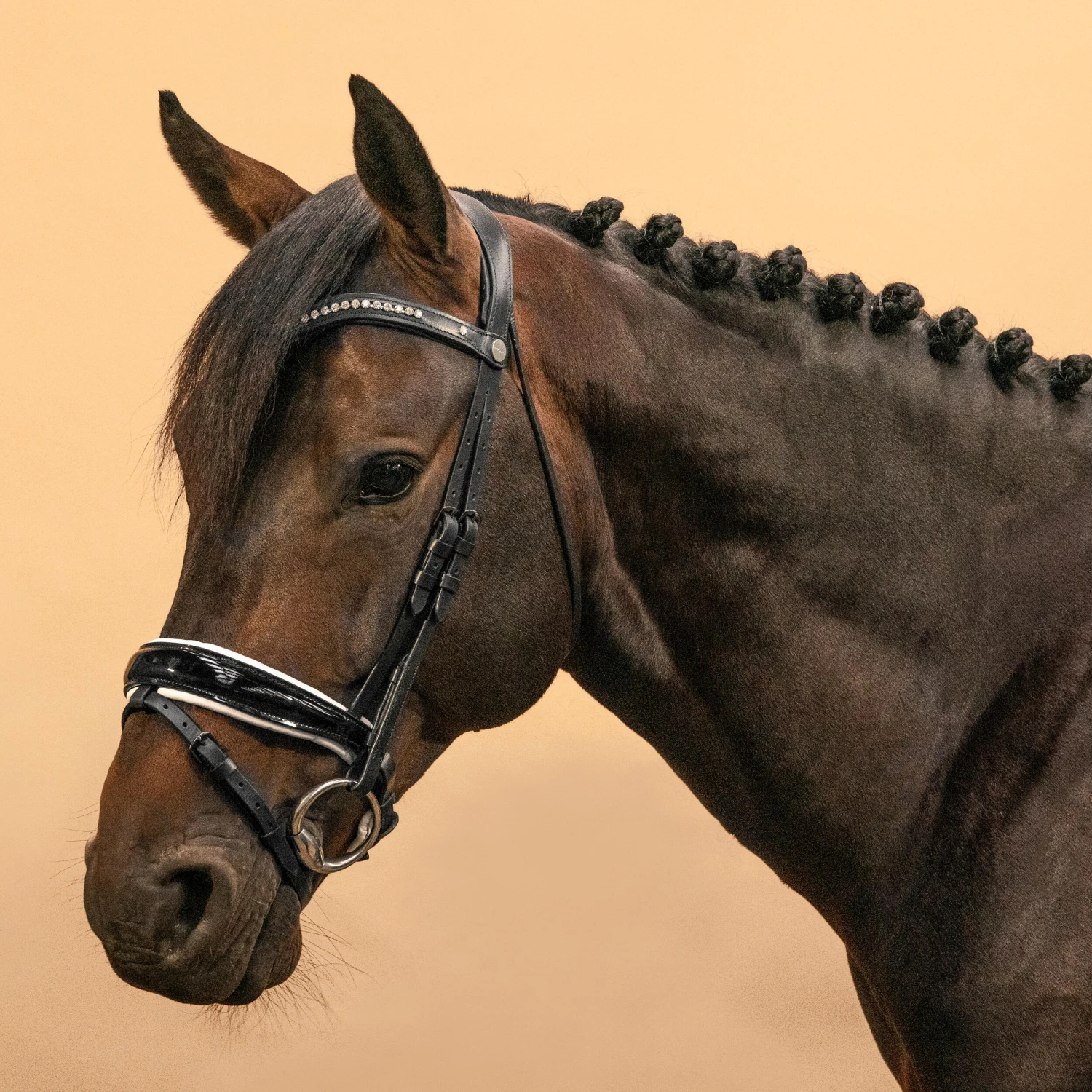 Horse & Pony Dressage Bridle 900 - Image 4