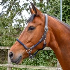 Raywell Leather And Rope Headcollar