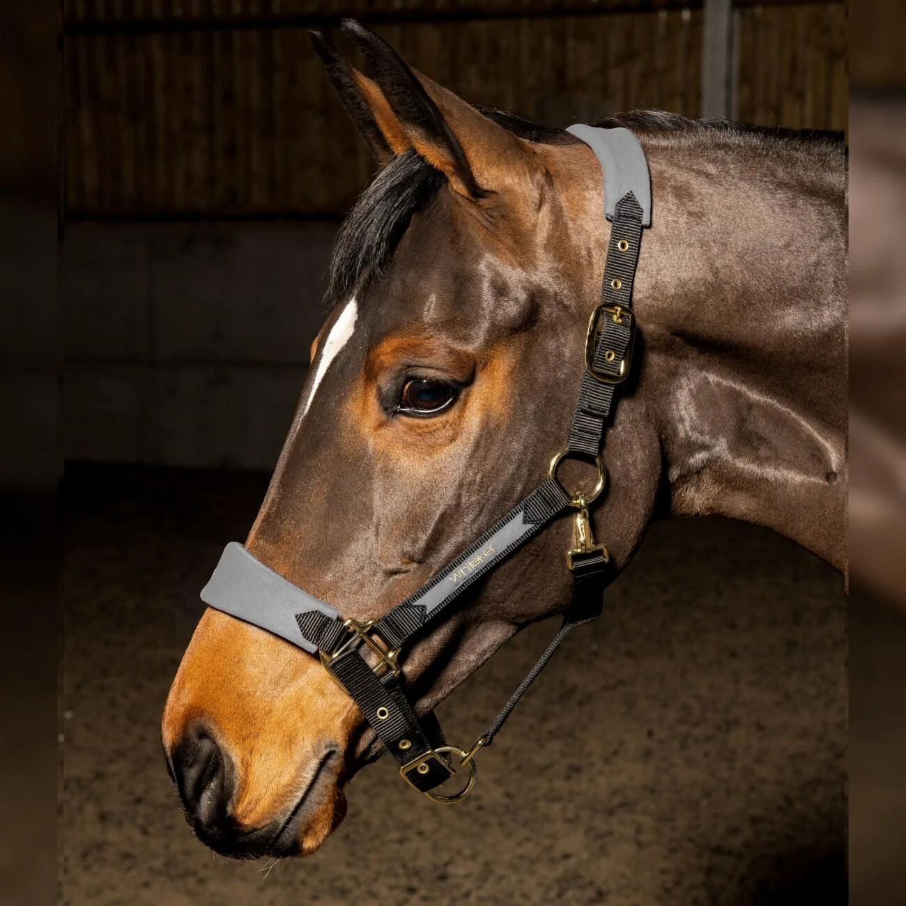 HAREWOOD HEADCOLLAR - Image 3