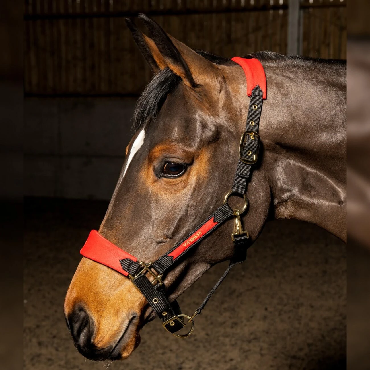 HAREWOOD HEADCOLLAR