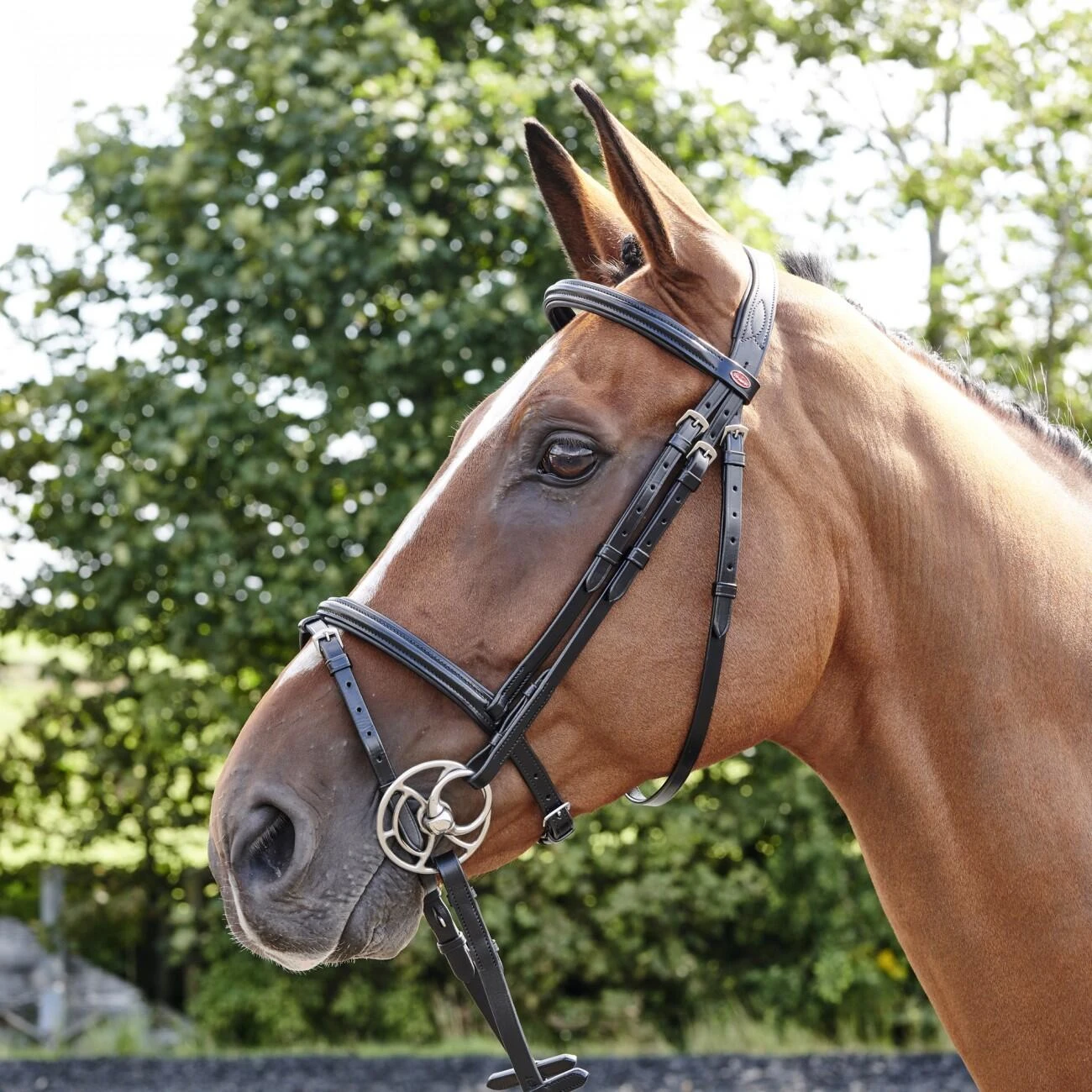 Barton Raised Flash Bridle Includes Rubber Reins - Image 3