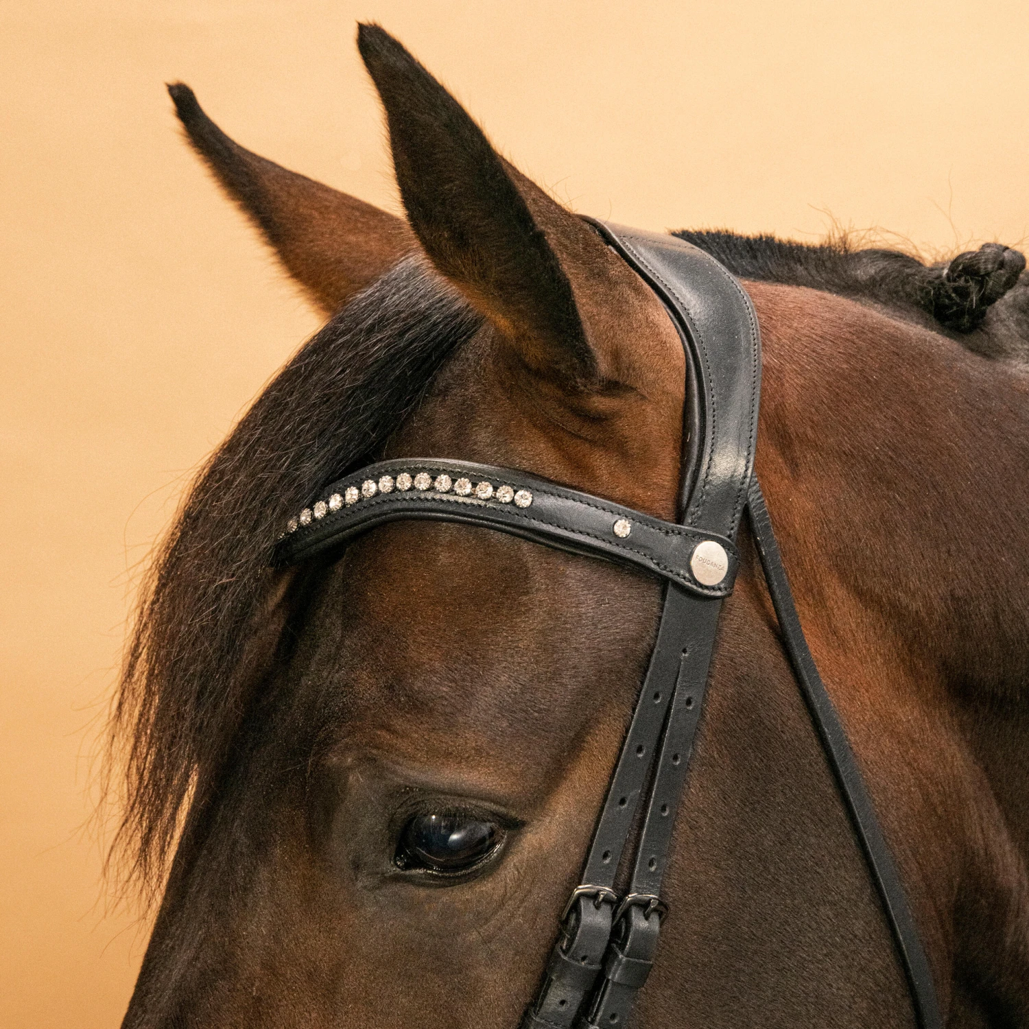 Horse & Pony Dressage Bridle 900 - Image 6