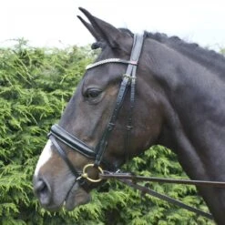 Barton Bling Flash Bridle With Rubber Reins