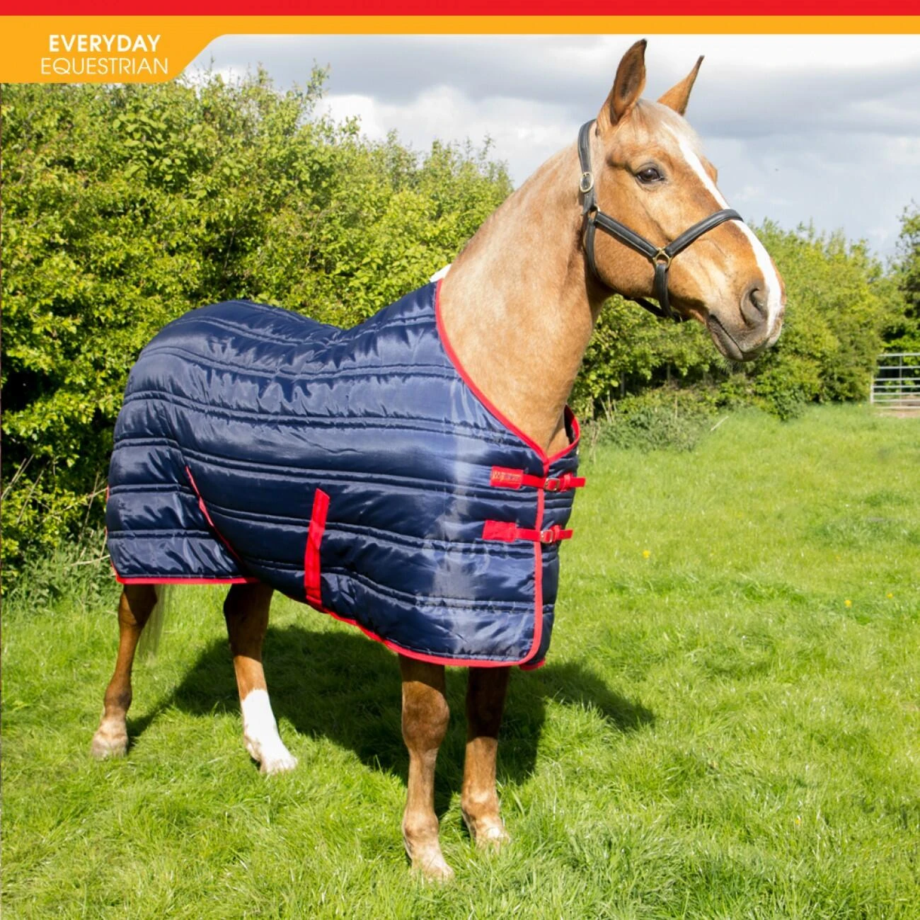 Thomas 250G Stable Rug - Image 2