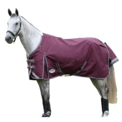 Weatherbeeta Comfitec Plus Dynamic II StandardNeck Lightweight Horse Turnout Rug