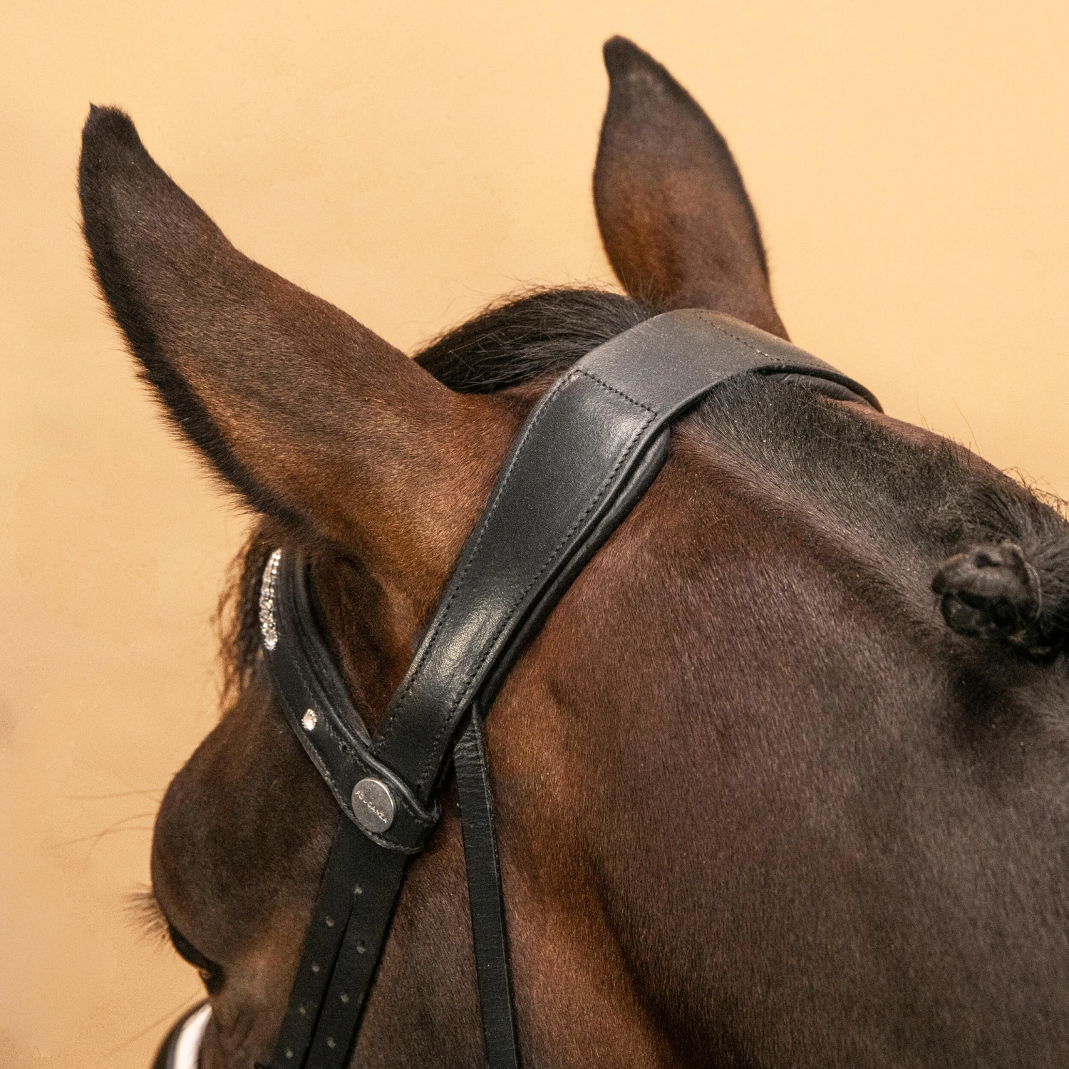 Horse & Pony Dressage Bridle 900 - Image 7