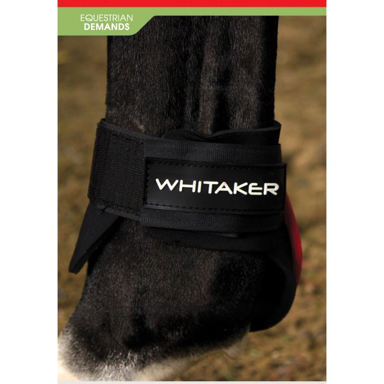 Skipton Tendon And Fetlock Boots - Image 4