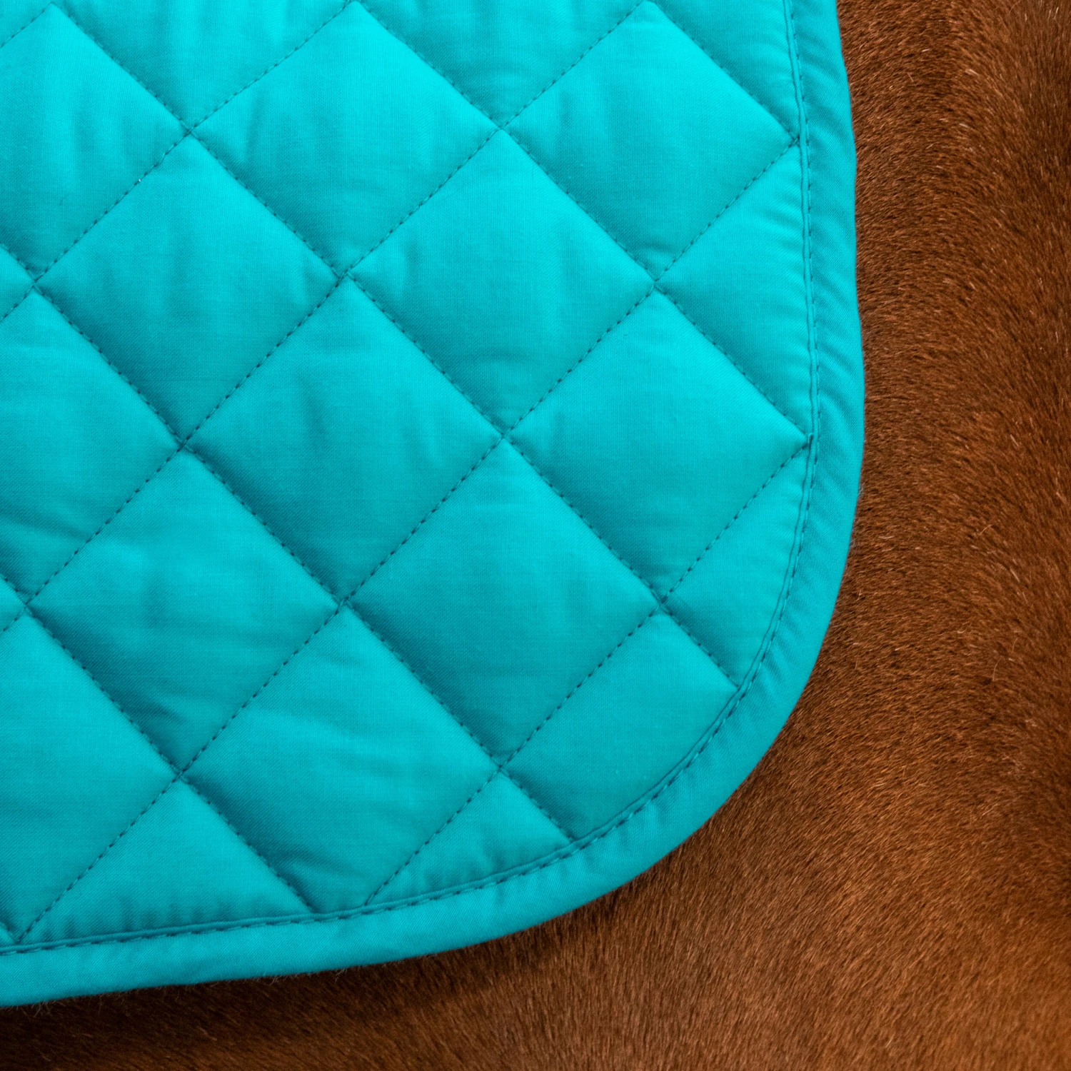Horse Riding Saddle Cloth For Pony 100 - Image 3