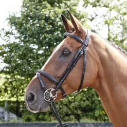 Barton Raised Flash Bridle Includes Rubber Reins