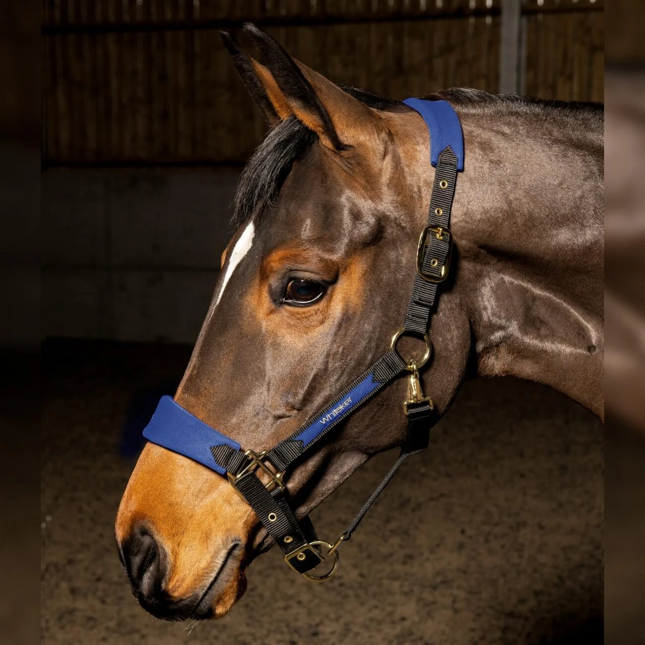 HAREWOOD HEADCOLLAR - Image 2