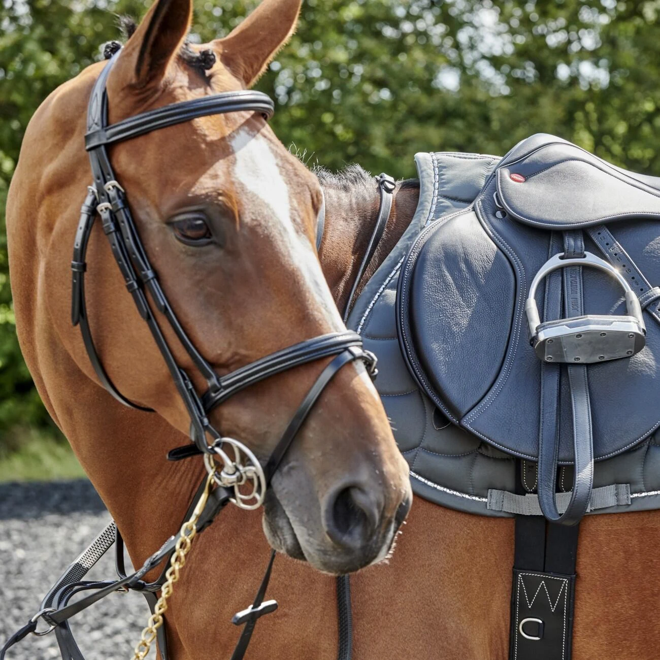 Barton Raised Flash Bridle Includes Rubber Reins - Image 2