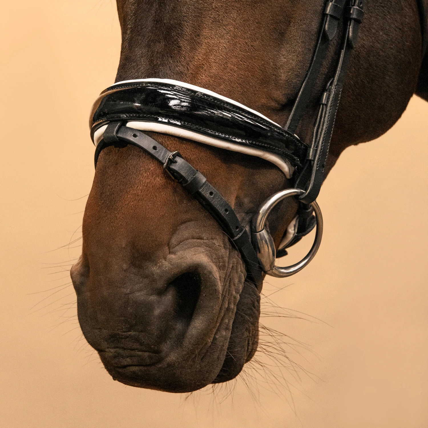 Horse & Pony Dressage Bridle 900 - Image 8