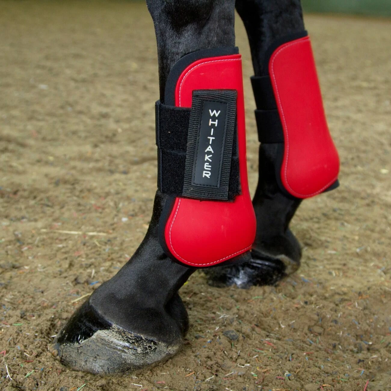 Skipton Tendon And Fetlock Boots - Image 3