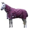 Weatherbeeta Comfitec Plus Dynamic II Detachable Neck Lightweight Horse Turnout Rug