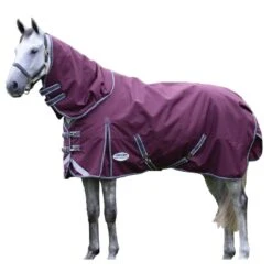 Weatherbeeta Comfitec Plus Dynamic II Detachable Neck Lightweight Horse Turnout Rug