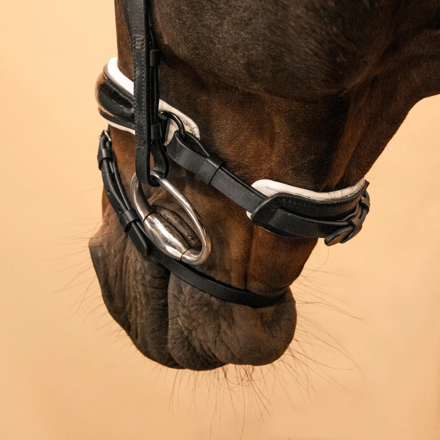 Horse & Pony Dressage Bridle 900 - Image 9