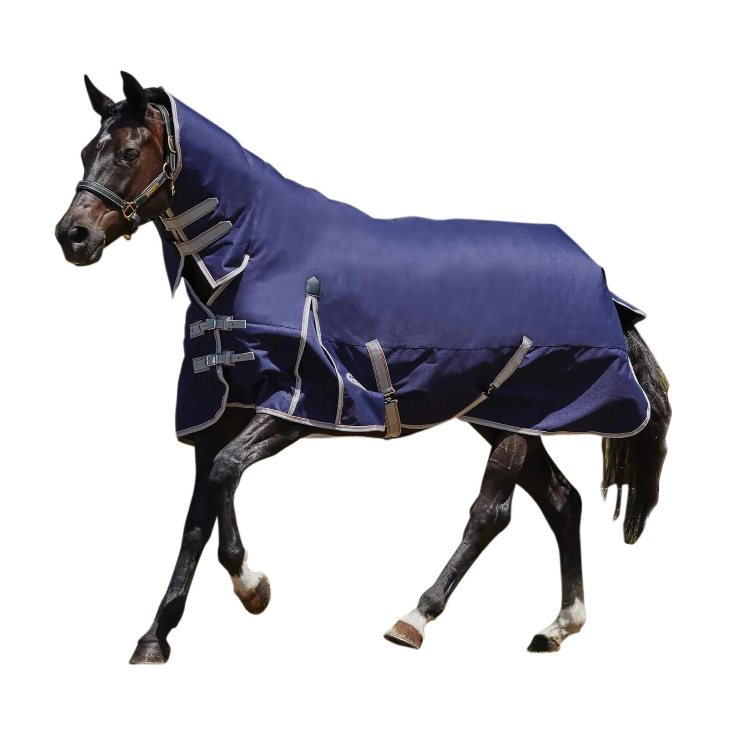 Weatherbeeta Comfitec Lite Essential Combo Neck Turnout Rug (Navy/Silver/Red)