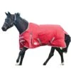 Weatherbeeta Comfitec Classic StandardNeck Medium Lightweight Horse Turnout Rug