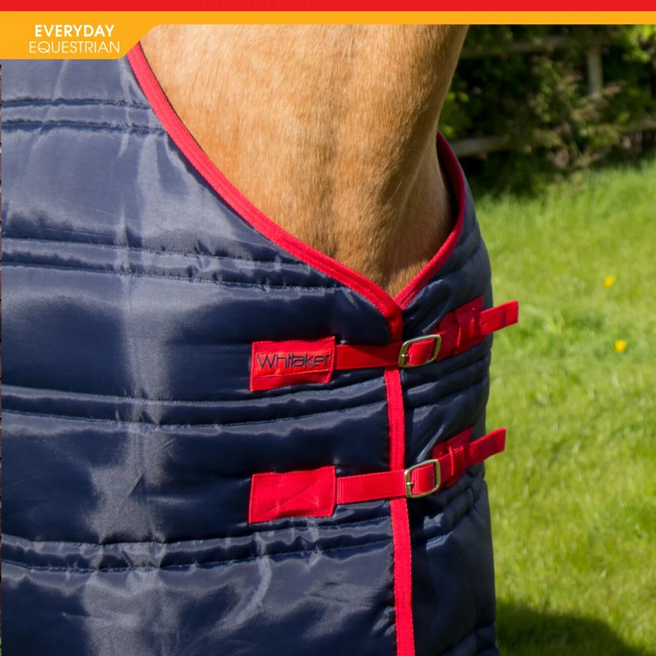 Thomas 250G Stable Rug - Image 3