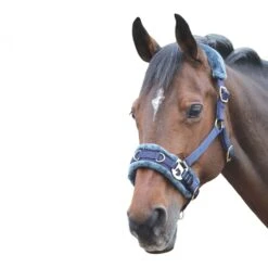 Fleece Lined Plush Horse Lunge Cavesson (Navy)