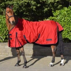 R189S Rastrick 0g Lightweight Horse Turnout Rug In Red
