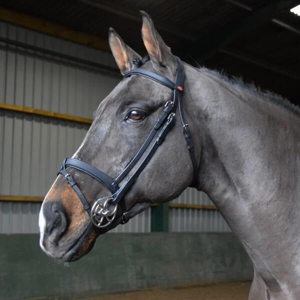 READY TO RIDE SNAFFLE BRIDLE - Image 3