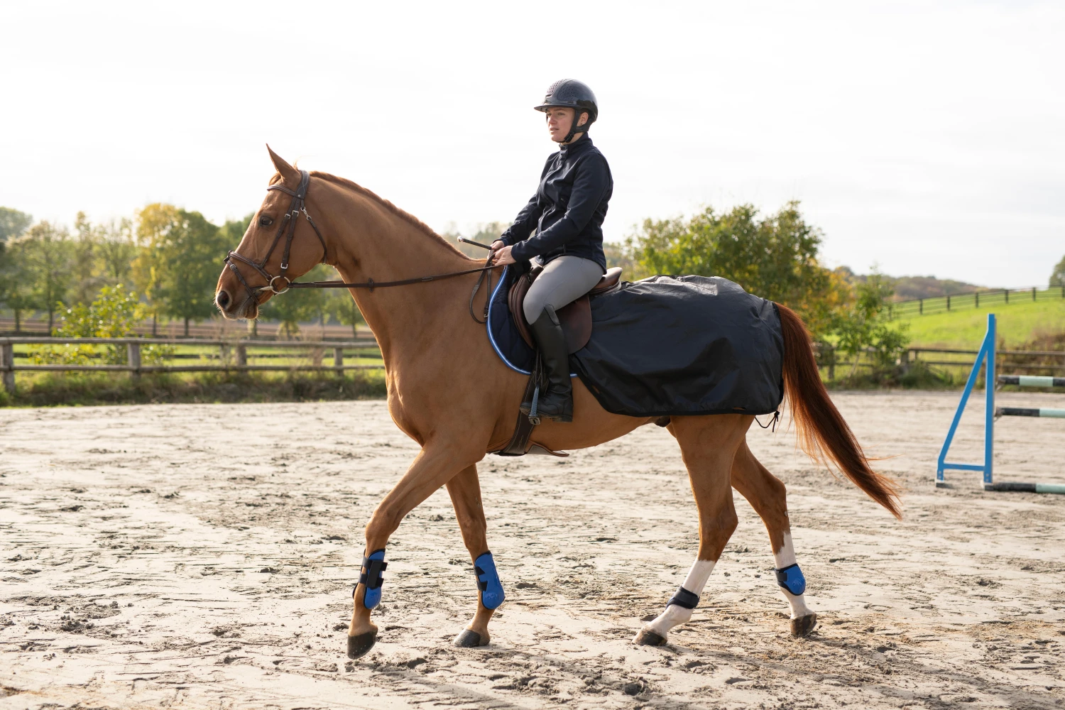 Horse And Pony Riding Exercise Rug Allweather - Image 2